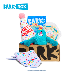Birthday Box