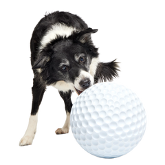 Big Swing Golf Ball Super Chewer Durable Extra-Large Fetch Dog Toy