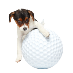 Big Swing Golf Ball Super Chewer Durable Extra-Large Fetch Dog Toy