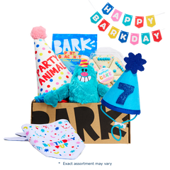 Birthday Classic Plush Gift Box