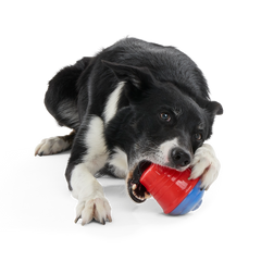 Blue Ruffberry Puppy Slushie Super Chewer Durable Engagement Dog Toy