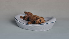 Timeless Dog Bed in Blue Blood Ticking