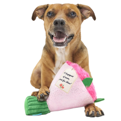 Boopquet of Roses Plush Tug Dog Toy