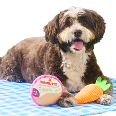 Carrot & Hummutts Plush Multi-Part Dog Toy