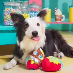 Cadfurry Eggs Plush Multi-Part + Fetch Dog Toy