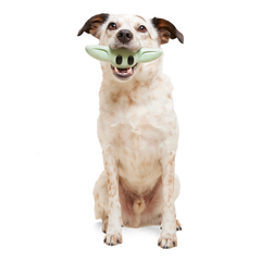 Chew and Chase Grogu™ Super Chewer Durable Gnaw Dog Toy