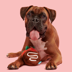 Chocolate Slobber Strawberry Plush Fetch Dog Toy