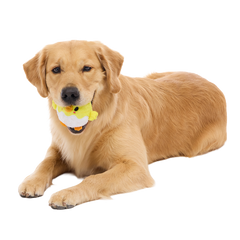 Chuck the Chick Super Chewer Durable 2-in-1 + Fetch Dog Toy
