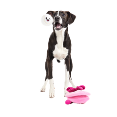 Clamantha Plush Multi-Part + Fetch Dog Toy