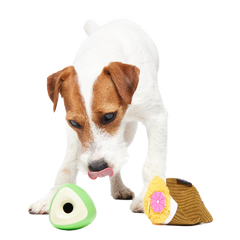Coco-Mutt Cocktail Super Chewer Durable 2-in-1 Fetch + Enrichment Dog Toy
