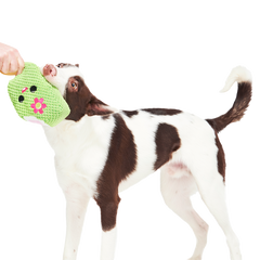 Consuela Pop Plush 2-in-1 + Tug Dog Toy
