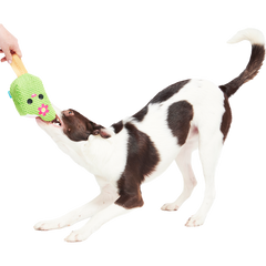 Consuela Pop Plush 2-in-1 + Tug Dog Toy