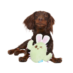 Consuela the Hoppy Cactus Plush 2-in-1 + Tug Dog Toy