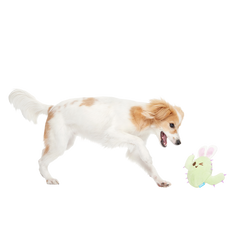 Consuela the Hoppy Cactus Plush 2-in-1 + Tug Dog Toy