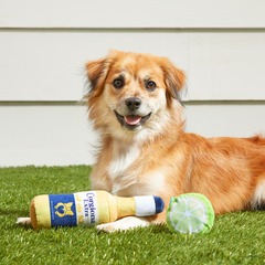 Corgiona With Lime Plush Multi-Part Dog Toy