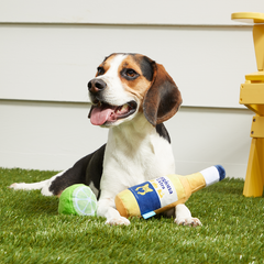 Corgiona With Lime Plush Multi-Part Dog Toy