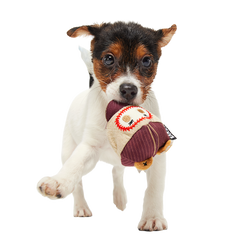 Crackin' Jake Super Chewer Durable 2-in-1 + Enrichment + Fetch Dog Toy
