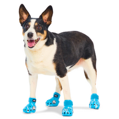 Crocs™ Shoes For Dogs (Copy)