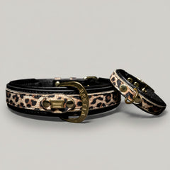 The Leopard Puppy Collar