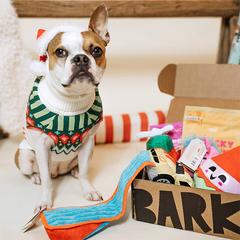 Free 1 Month Gift Coupon (Delivered Via Email)