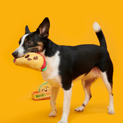 Doggo's Tacos Plush Multi-Part Enrichment Dog Toy