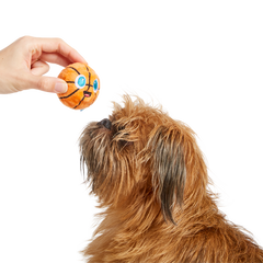 Drool & Dribble Basketball Plush Fetch Dog Toy