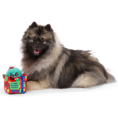 Saturday Night Live: Duck in A Box Plush Multi-Part + Enrichment Dog Toy