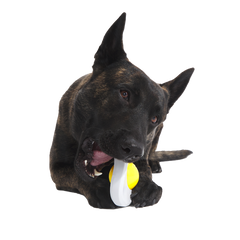 Egg Over Hard Super Chewer Durable Gnaw Dog Toy