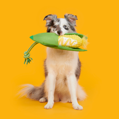Elote Fun Corn Plush Tug Dog Toy