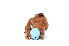 Titan Puzzle Super Chewer Durable Enrichment Dog Toy