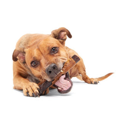 Beefy Chewin' Collagen Chew & Bully Stick