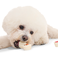Christmutts Treat Cups