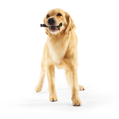 Beef Braided Collagen Dog Chews, 5 Ct