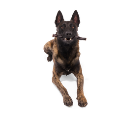 Beef Braided Collagen Dog Chew, Single, 9"