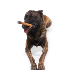 Variety Pack Collagen Dog Chews, 3 Ct