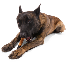 Variety Pack Collagen Dog Chews, 3 Ct