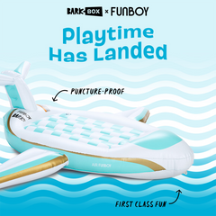 Funboy X Bark Private Jet Dog Float