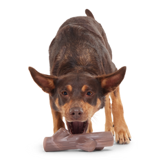 Fall Fetch Stick Super Chewer Durable Gnaw Dog Toy