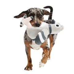 Flappin' Flossie Plush Tug Dog Toy