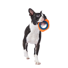 Flingray Super Chewer Durable Fetch Dog Toy