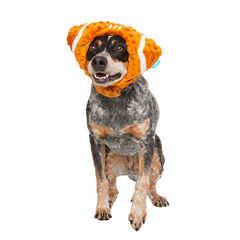 Football Head Plush Wearable Dog Toy