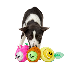 Fruity Cutie Tropical Trio Plush Multi-Part + Fetch Dog Toy