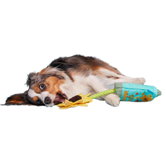 Funflower Seeds Plush Tug Dog Toy