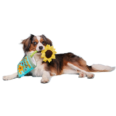 Funflower Seeds Plush Tug Dog Toy