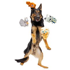 Golden Squirrels Plush Multi-Part Dog Toy