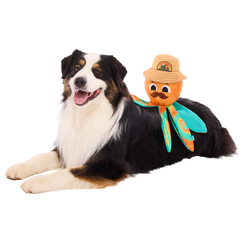 Ollie the Octopus Club, Plush Tug Monthly Dog Toys