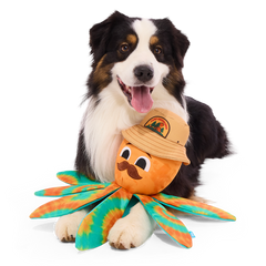 Ollie the Octopus Club, Plush Tug Monthly Dog Toys