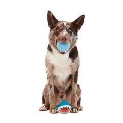 Great White Dwight Super Chewer Durable 2-in-1 + Fetch Dog Toy