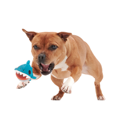 Great White Dwight Super Chewer Durable 2-in-1 + Fetch Dog Toy