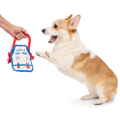 Grrrill Champ Apron Plush Tug + Wearable Dog Toy